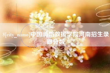石狮中国消防救援学院河南招生录取分数