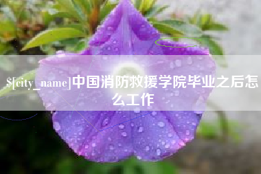 石狮中国消防救援学院毕业之后怎么工作