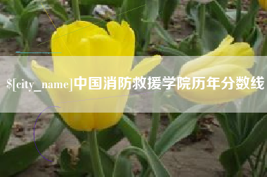 石狮中国消防救援学院历年分数线