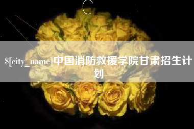 石狮中国消防救援学院甘肃招生计划