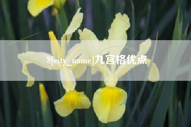 石狮九宫格优点