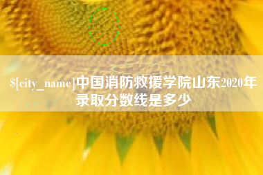 石狮中国消防救援学院山东2020年录取分数线是多少