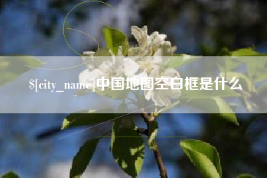 石狮中国地图空白框是什么
