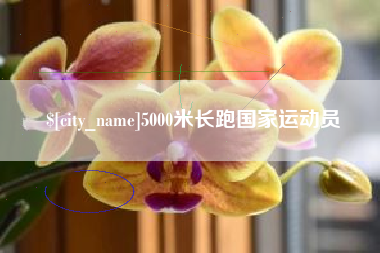 石狮5000米长跑国家运动员