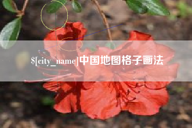 石狮中国地图格子画法