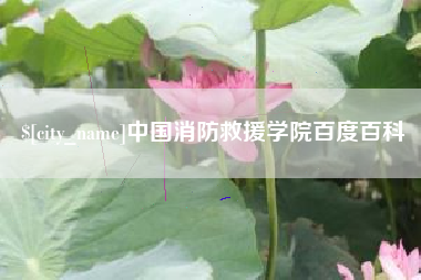 石狮中国消防救援学院百度百科