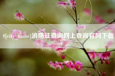 石狮消防证查询网上查询官网下载