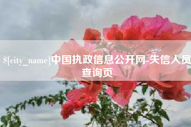 石狮中国执政信息公开网-失信人员查询页
