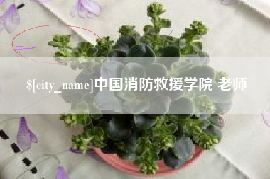石狮中国消防救援学院 老师