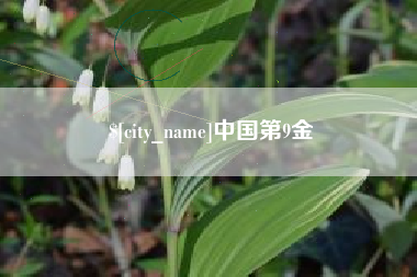 石狮中国第9金