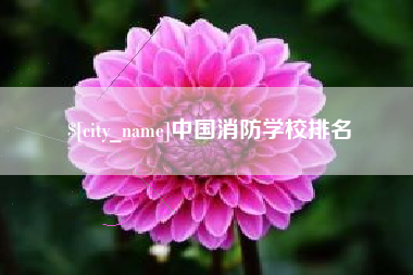 石狮中国消防学校排名