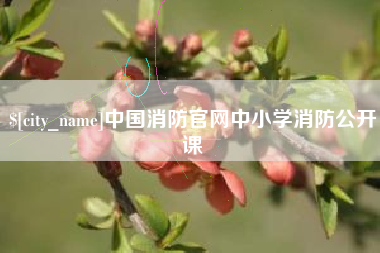 石狮中国消防官网中小学消防公开课
