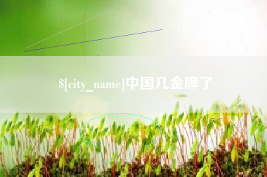 石狮中国几金牌了