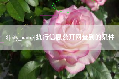 石狮执行信息公开网查到的案件
