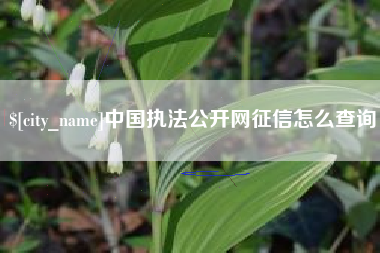 石狮中国执法公开网征信怎么查询