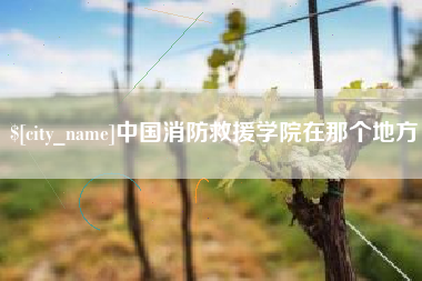 石狮中国消防救援学院在那个地方