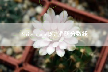 石狮2021消防分数线