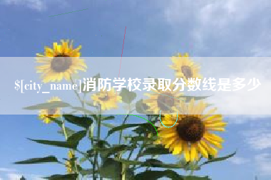 石狮消防学校录取分数线是多少