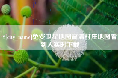 石狮免费卫星地图高清村庄地图看到人实时下载