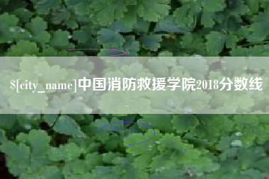 石狮中国消防救援学院2018分数线