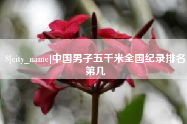 石狮中国男子五千米全国纪录排名第几