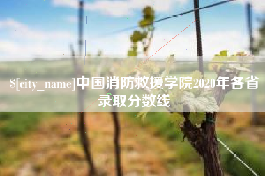 石狮中国消防救援学院2020年各省录取分数线