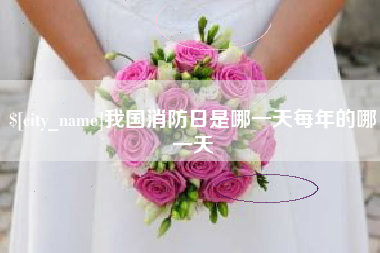 石狮我国消防日是哪一天每年的哪一天