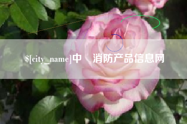 石狮中囯消防产品信息网
