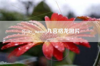石狮九宫格龙图片