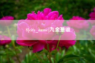 石狮九金是谁