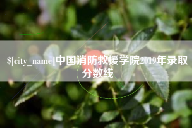 石狮中国消防救援学院2019年录取分数线