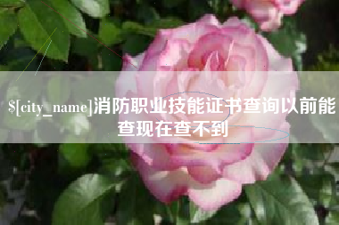 石狮消防职业技能证书查询以前能查现在查不到