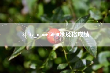 石狮5000米及格成绩