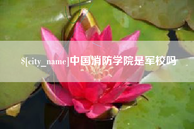 石狮中国消防学院是军校吗