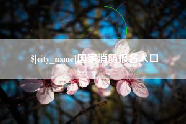石狮国家消防报名入口