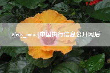 石狮中国执行信息公开网后