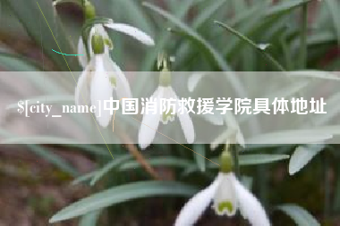 石狮中国消防救援学院具体地址