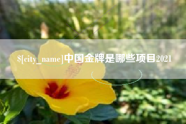 石狮中国金牌是哪些项目2021