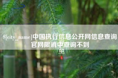 石狮中国执行信息公开网信息查询官网限消中查询不到