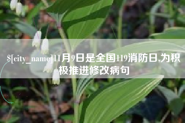 石狮11月9日是全国119消防日,为积极推进修改病句