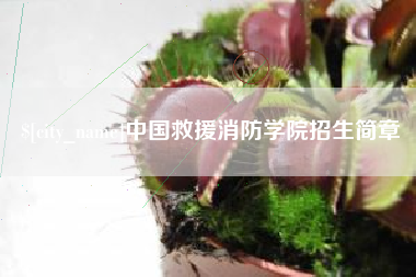 石狮中国救援消防学院招生简章
