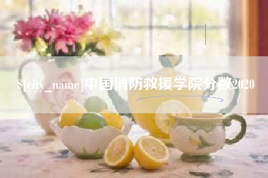 石狮中国消防救援学院分数2020