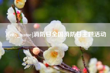 石狮消防日全国消防日主题活动