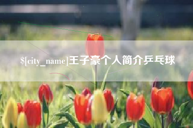 石狮王子豪个人简介乒乓球