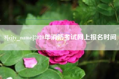 石狮2020年消防考试网上报名时间