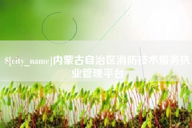 石狮内蒙古自治区消防技术服务执业管理平台