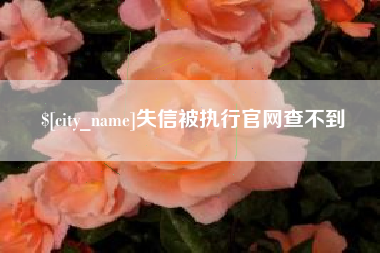 石狮失信被执行官网查不到