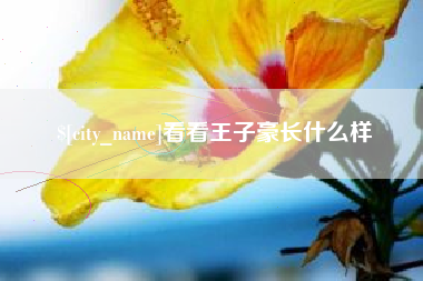 石狮看看王子豪长什么样