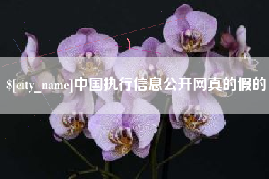石狮中国执行信息公开网真的假的
