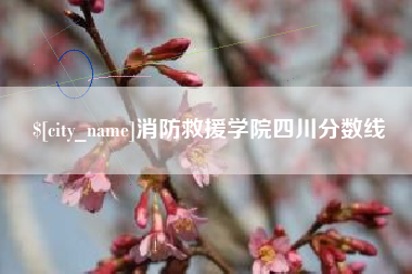 石狮消防救援学院四川分数线